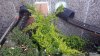 20140423_073324.jpg 20140423_073324.jpg