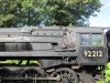IMG_4237.jpeg