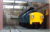 Shed Smoke Hoods 2.JPG