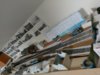rps20170806_153417.jpg rps20170806_153417.jpg