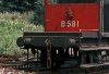 BV 06.jpg