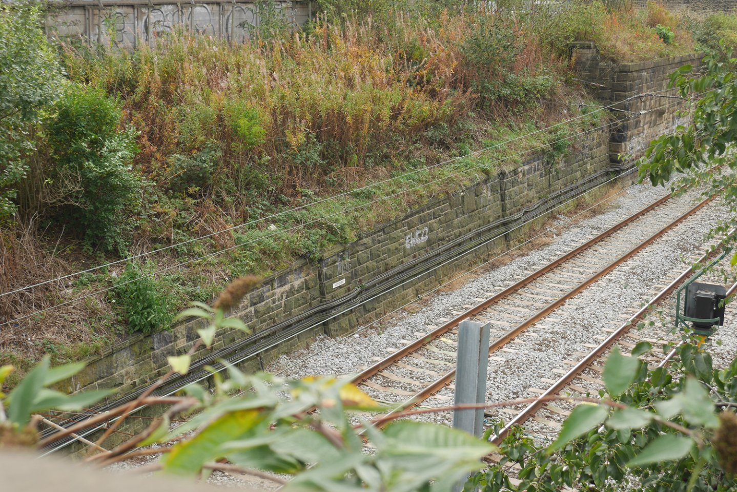 P1050029 resize.jpg