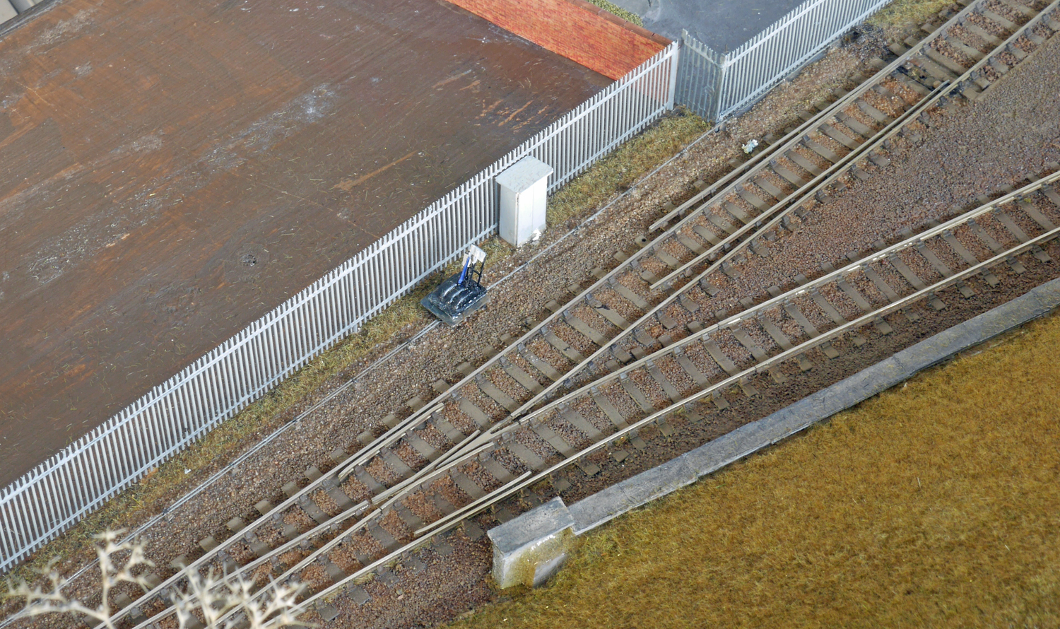 P1050735a.jpg