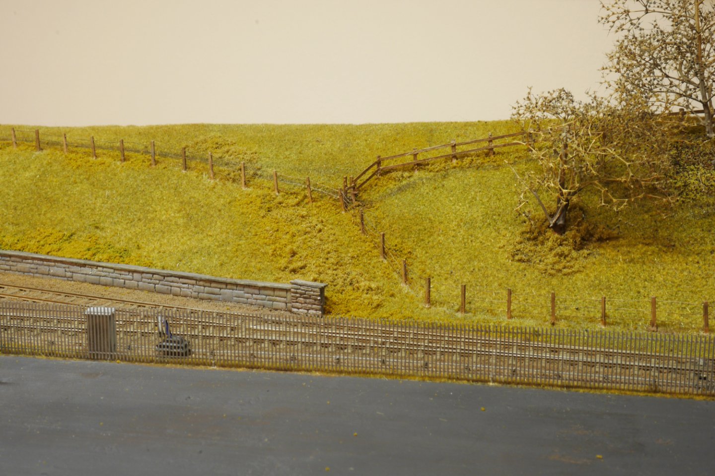 P1060227a.jpg