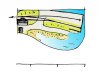 shell island plan.jpg shell island plan.jpg