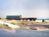 shell island 2.jpg shell island 2.jpg