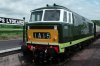 D7017.jpg