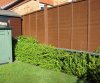 Lonicera Nitida growth end March 2012.JPG