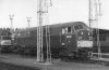 6303-Laira-67.JPG 6303-Laira-67.JPG