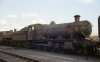 3818.  Southall Shed.  2 May 1965.  Personal Collection.  Final.  Photo Brian Dale.jpg