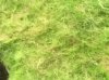 8072D41D-EA44-4F7E-B878-16536E09EEAD.jpeg