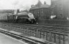 60014 Silver Link with Pennine Pullman at West Hampstead.  12 May 1956.jpg