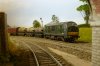 Milk Train.jpg Milk Train.jpg