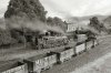 Wagons 01 B&W.jpg