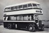 WEB Bus 55.jpg WEB Bus 55.jpg
