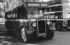 WEB Bus 61.jpg WEB Bus 61.jpg