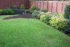 New planting1.JPG