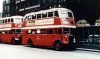 WEB Bus 102.jpg