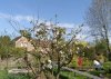 P1010004a.jpg