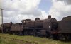 31831.  Eastleigh Shed Yard.  23 May 1965.  Personal Collection.  Final.  Photo Brian Dale.jpg