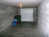 P1010050.jpg