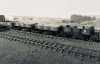 D4E69CCC-03D4-40C4-9CDD-2971C50FB972.jpeg D4E69CCC-03D4-40C4-9CDD-2971C50FB972.jpeg
