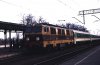 PKP electric Rzepin.jpg PKP electric Rzepin.jpg