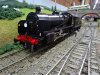 DSC07079.JPG