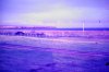 PICT0031.JPG