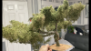 1F794F6F-EAA8-40CA-B2BF-7B5F40430F69.png 1F794F6F-EAA8-40CA-B2BF-7B5F40430F69.png