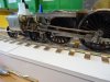 DSC07261.JPG