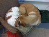 IMG00255-20101217-2324.jpg