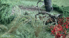 A1925508-319C-4F8E-83B4-FB1F5F354A57.png