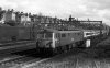 img526 TM Trains at Lineside Willesden Old Oak Common 198- copyright Final.jpg