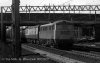 img528 TM Trains at Lineside Willesden Old Oak Common 198- copyright Final.jpg