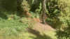 A23BE8A0-2DEB-4BDD-83BD-E10F03E29240.png