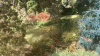 B867F5D1-C9BE-4443-9E2A-99AD09901641.png