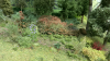 C355082A-E0F5-4C86-85A5-CE4B3A112F74.png