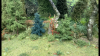 052C7193-2079-4E10-AFB0-89F9796D8D94.png