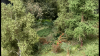 85B2BB27-DC0D-4485-BD9B-F543E09780F9.png