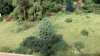 B97B4B7C-9CD9-42AB-BF18-A0384EF63A62.png B97B4B7C-9CD9-42AB-BF18-A0384EF63A62.png