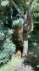 8C6C777D-20F4-42E7-B396-BA770B90A29C.png