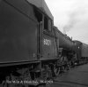 img722 TM A Rare Visitor to Willesden May 1964 Turn Con Sat chalked on tender copyright Final.jpg