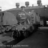 img799 TM Southall MPD Laira on buffer beam 1964 copyright Final see img755 & 800.jpg