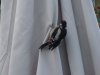 DSC03206.jpg