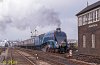 6. SNG at Gobowen 8.10.1977.jpg