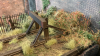 87E05C6C-273C-429B-BD2F-94F0801CA78E.png 87E05C6C-273C-429B-BD2F-94F0801CA78E.png