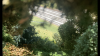 8AF0240B-9A8C-4DB7-B51F-9DD92D5C94D1.png 8AF0240B-9A8C-4DB7-B51F-9DD92D5C94D1.png