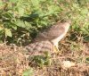 IMG_1628.JPG