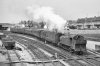 4161 leaving Hereford 23May64.jpg